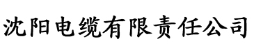 午夜精品网站电缆厂logo